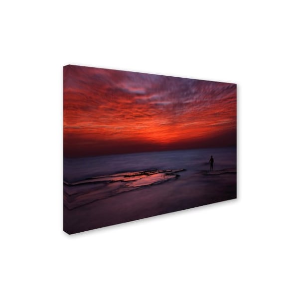 Itay Gal 'Red Sky' Canvas Art,35x47